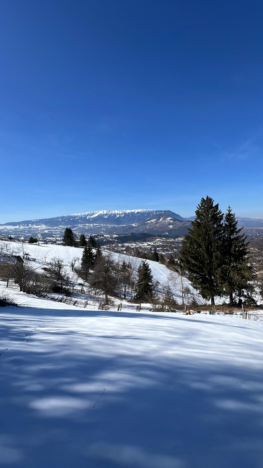 Priveliște de iarnă de pe teren către munții înzăpeziți din zona Bran